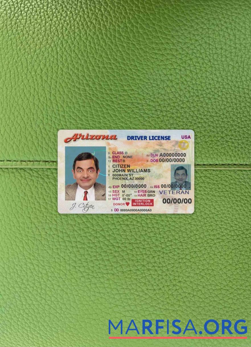Printable USA Arizona Driver License photolook download for verification